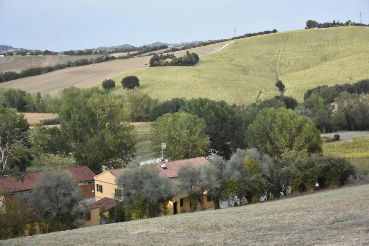 Agriturismo Fattoria Del Colle Jesi Bauernhof
