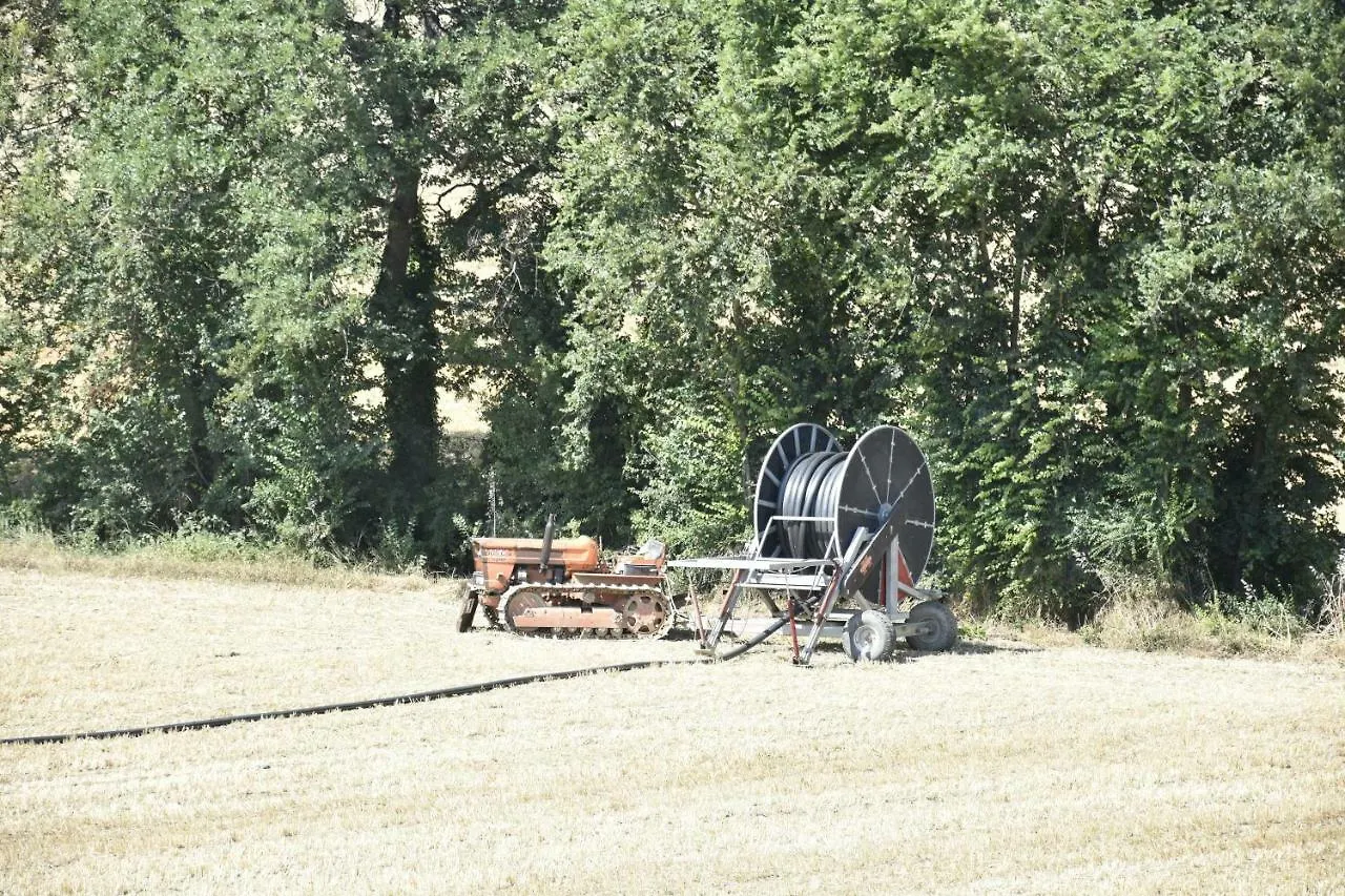 Bauernhof Agriturismo Fattoria Del Colle Jesi Italien