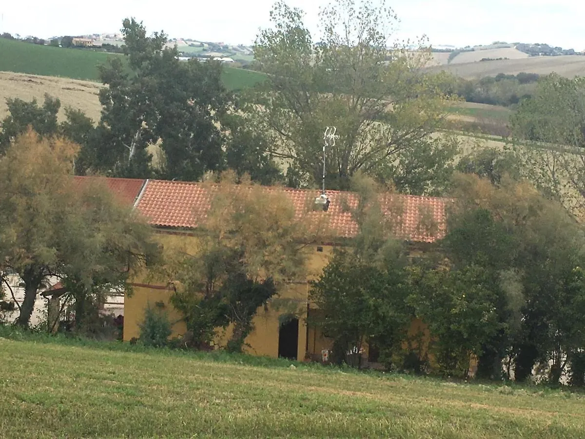 Bauernhof Agriturismo Fattoria Del Colle Jesi