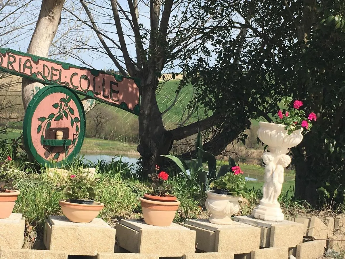 Agriturismo Fattoria Del Colle Jesi Bauernhof