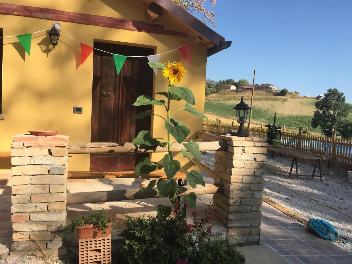 Bauernhof Agriturismo Fattoria Del Colle Jesi Italien