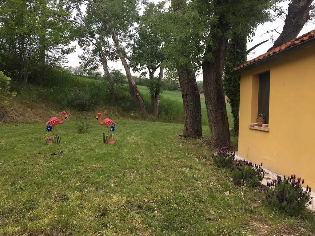 Agriturismo Fattoria Del Colle Jesi Bauernhof