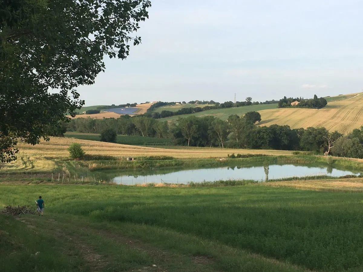 Farm stay Agriturismo Fattoria Del Colle Iesi Italy